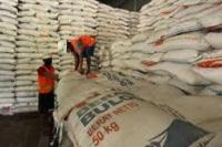 Persediaan Cukup Sampai Akhir Tahun, DPR Pertanyakan Serapan Beras Bulog