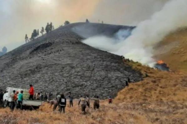 Bukit Teletubbies Gunung Bromo Terbakar, Manajer WO Tersangka