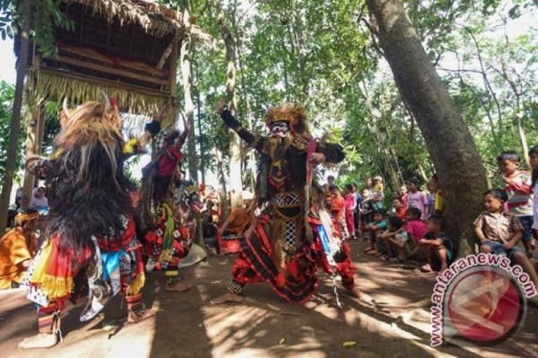 Budaya Suku Osing adalah kelompok etnis yang mendiami daerah Banyuwangi. (foto: Antara)