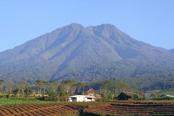Kisah Mistis Gunung Wilis yang Jadi Obrolan Pendaki