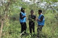 Pengembangan Biomassa PLN di Tasikmalaya, Dikelola Masyarakat, Didukung Pemerintah