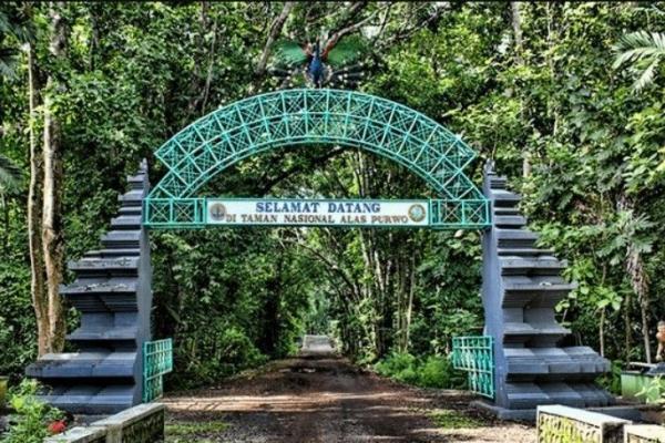 Taman Nasional Alas Purwo, Jawa Timur. 